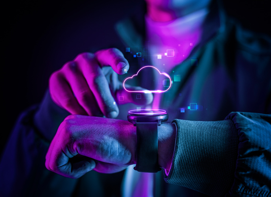 Web Development Services - Argenius